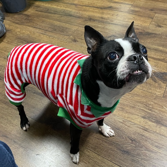 Meet your Posher, Debra - Picture 15 of 16